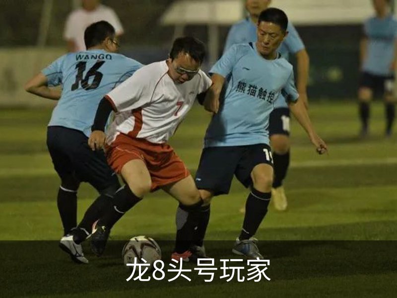 龙8头号玩家简介